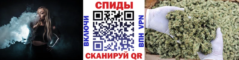 Купить где  Дыгулыбгей  Бутират бутик 