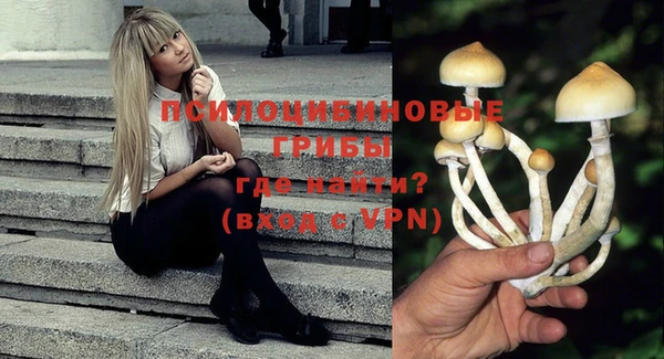 прущая мука Елабуга